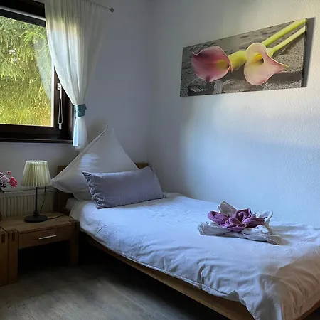 Sternenhimmel 2 * Thalfang