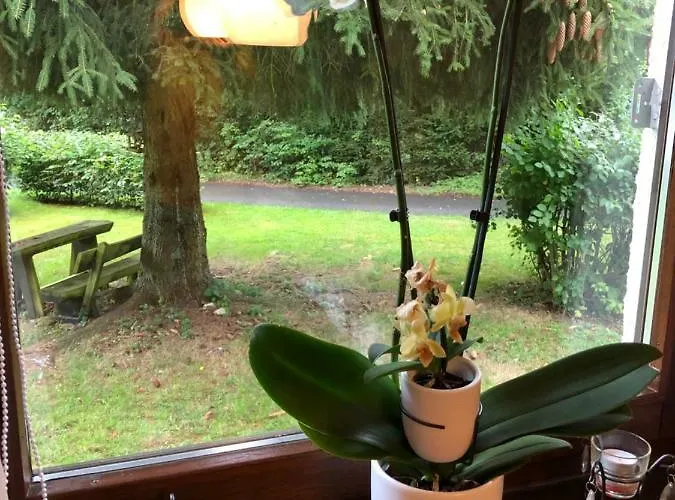 度假居 Sternenhimmel 2